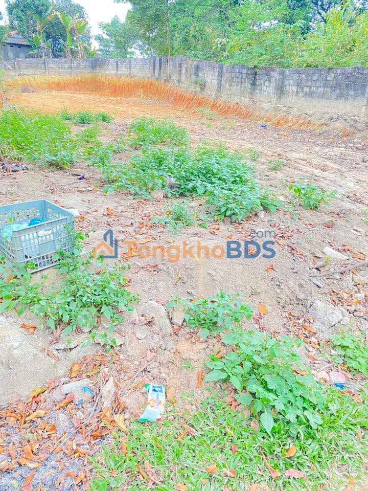 Đất Vàng Đại Từ 270m² - Sổ Đỏ 160m² Thổ Cư, Giá Chỉ 3 Tỷ