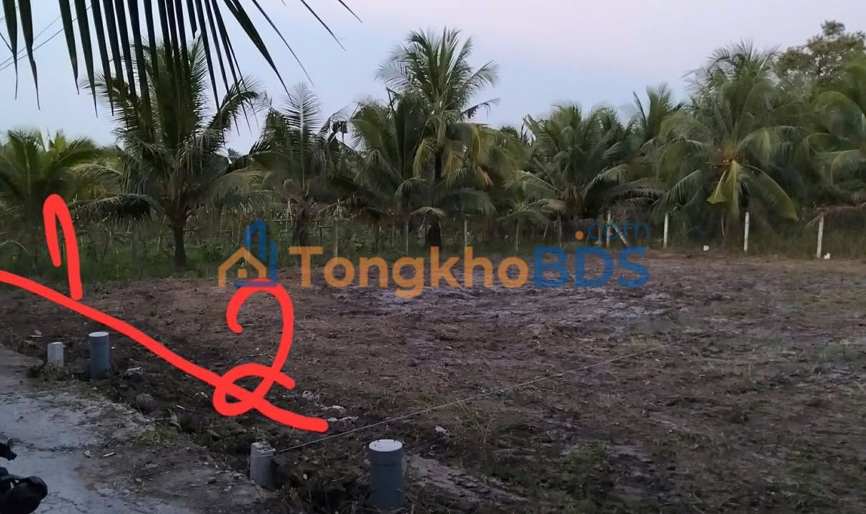 Bán Đất Nền Long Hưng, Châu Thành, Tiền Giang - 100m² Giá Tốt