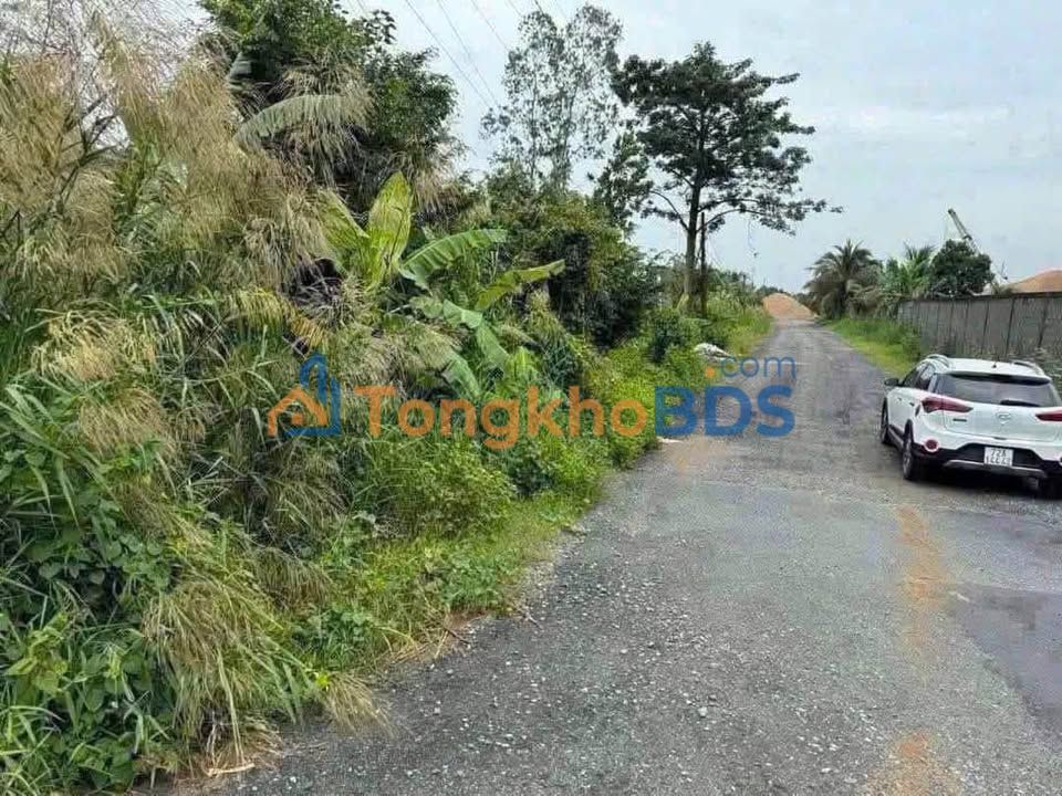 Đất Vườn Long An - 1500m² Mặt Tiền Đinh Viết Cừu, Tân An - Giá Tốt