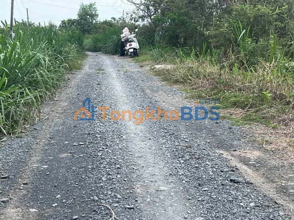 Bán Gấp 3 Nền Đất Liền Kề 165m² Giá 280 Triệu Tại Gò Công Đông