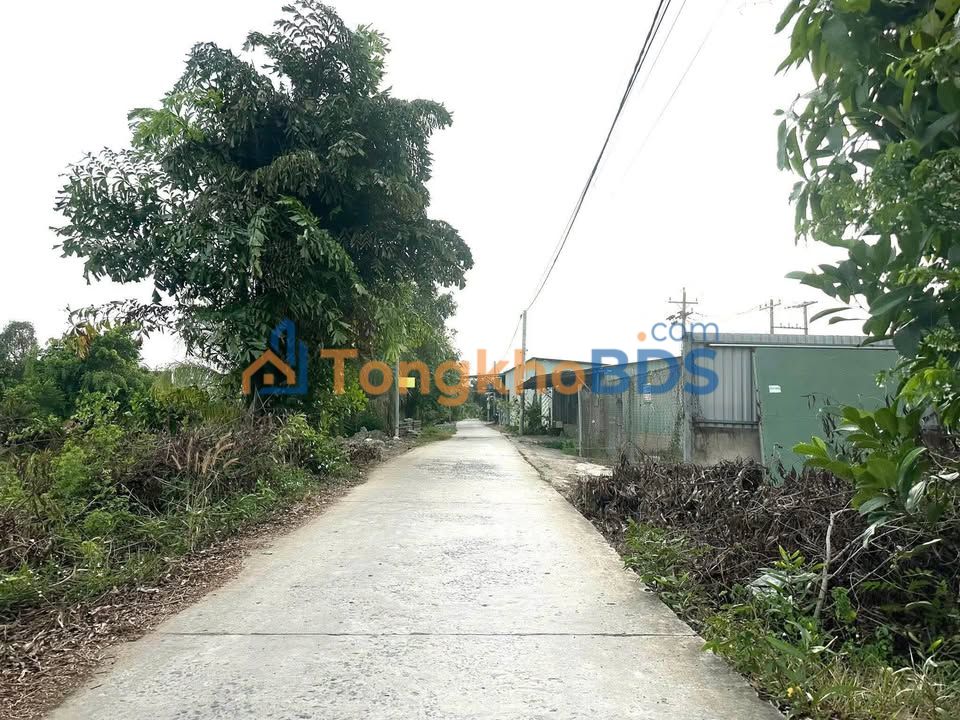 Đất thổ cư Thủ Thừa, Long An - 150m² Sổ đỏ, gần chợ 600 triệu