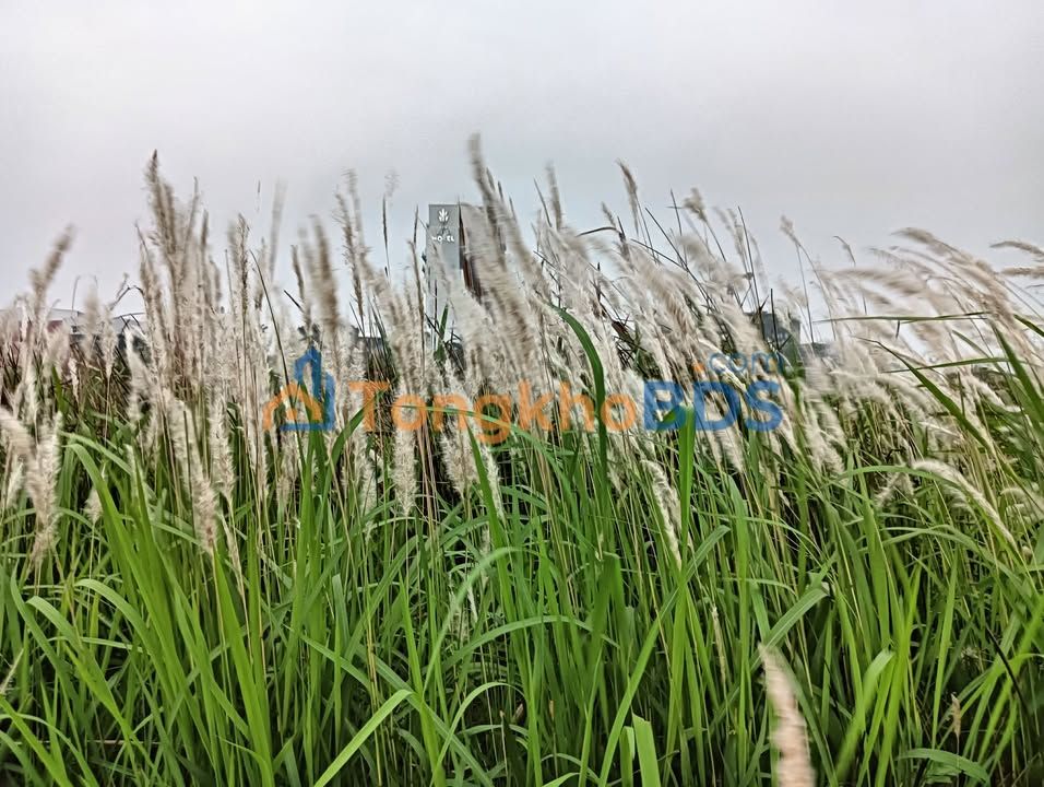 Đất Tặng Nhà Hoa Lư, Ninh Bình - 70m² Giá 2 Tỷ, Ngõ Ô Tô