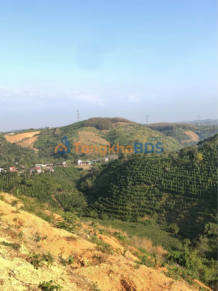 Bán gấp 2ha đất rẫy Nam Đà, Lâm Đồng - Sổ hồng chính chủ, giá đầu tư 55tr/sào