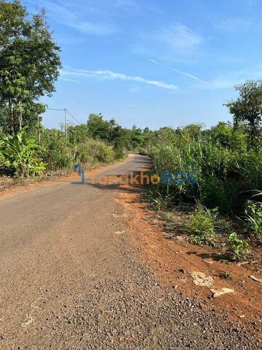 Đất Khánh Xuân Buôn Ma Thuột 592m² 555tr - Xây dựng tự do