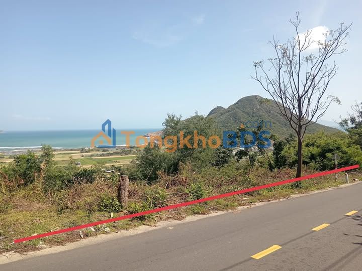 Đất đồi Ninh Vân 10.000m2 8 tỷ - Pháp lý rõ ràng