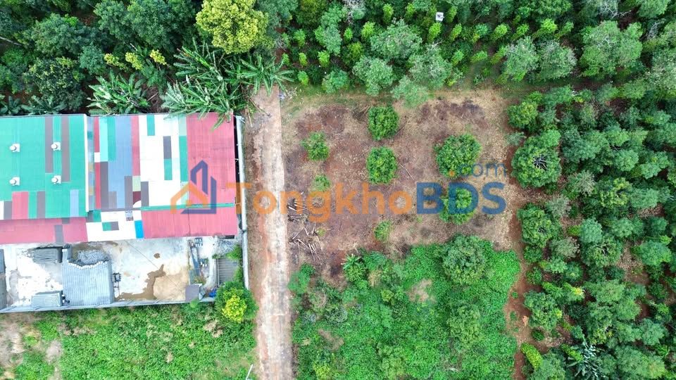 Đất thổ cư Thôn 3 Cư Suê 151m² 595 triệu - Sổ đỏ chính chủ