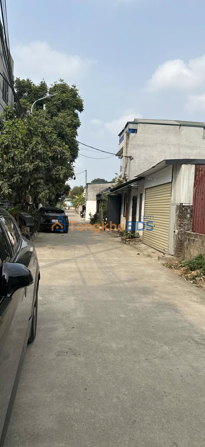 Bán Đất Vàng Việt Trì 277m² - Sổ Đỏ Chính Chủ, Sẵn Sàng Xây Dựng