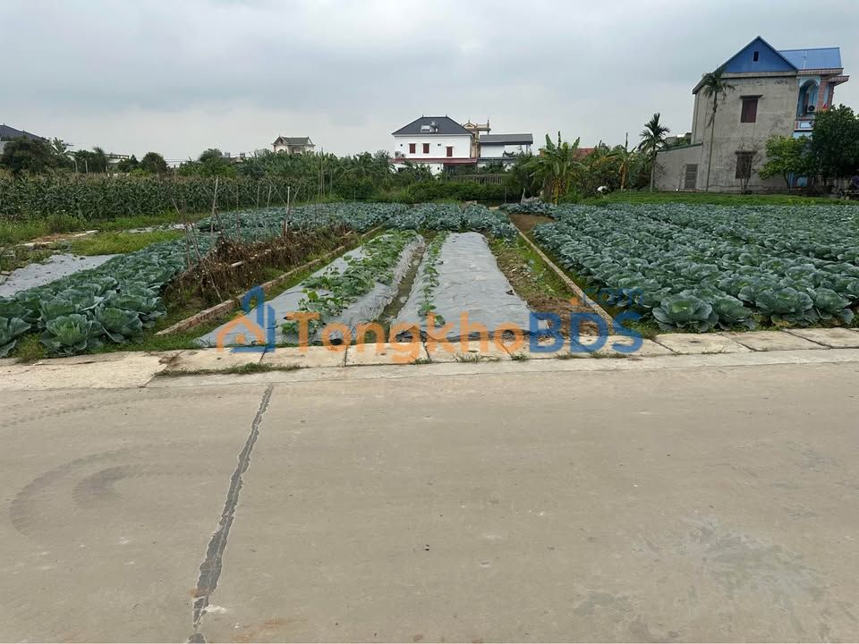 Đất Nền Lương Tài, Bắc Ninh 121m² - Mặt Tiền Rộng 4.5m, Giá 2.x Tỷ