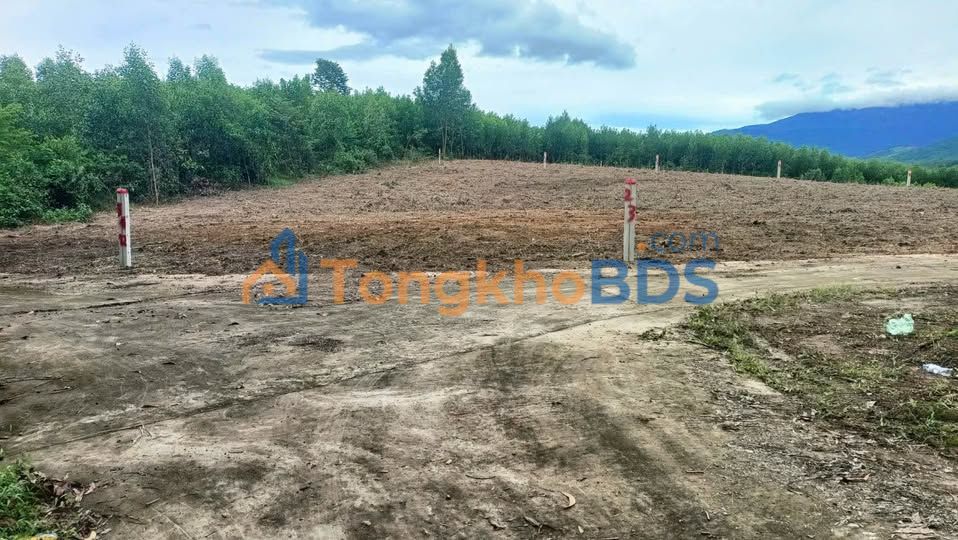 Đất Vườn 1100m² Xã Diên Lâm, Diên Khánh - Giá Đầu Tư 390 Triệu