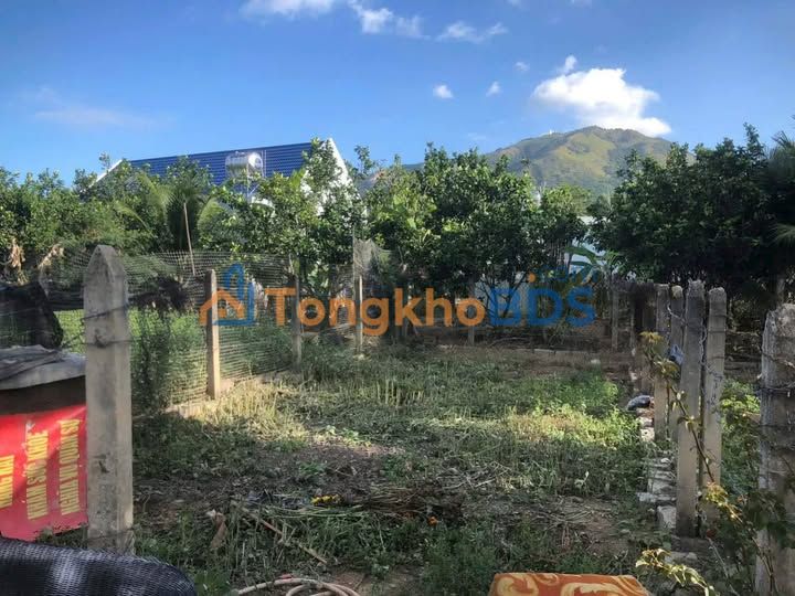 Bán Đất Vĩnh Trung Nha Trang 61.9m² Full Thổ Cư - Giá 1.2 Tỷ