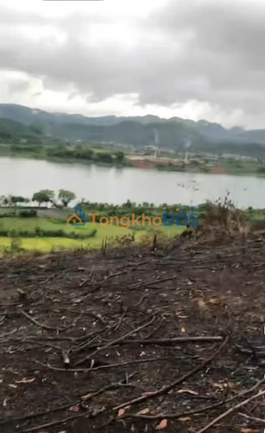 Bán Gấp Farm Nghỉ Dưỡng Yên Mông, Phú Thọ - 5100m² View Sông Đà