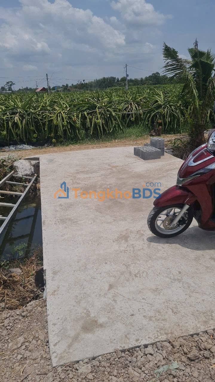 Đất Vườn 1000m² Sổ Đỏ Chính Chủ, View Kênh - Cơ Hội Đầu Tư Hấp Dẫn Tại Long An