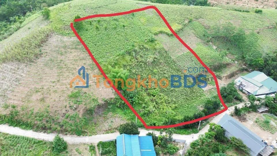 Đất Vườn Hòa Bình 3000m² - Bám Đường To, View Thoáng