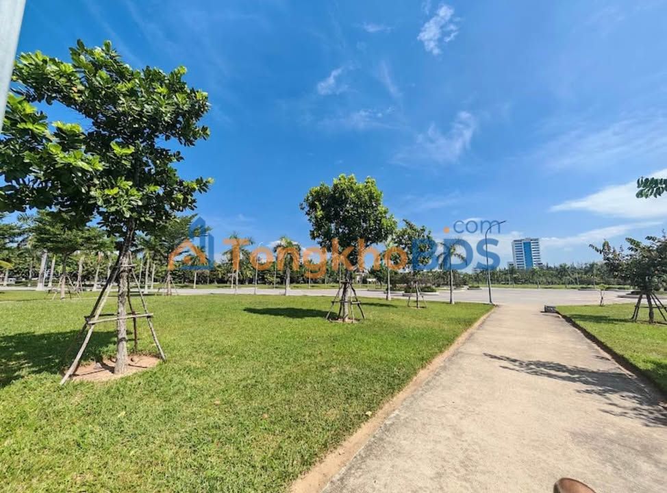 Đất Mặt Tiền Trần Phước Thành Cẩm Lệ - 100m², Kinh Doanh Đắc Địa