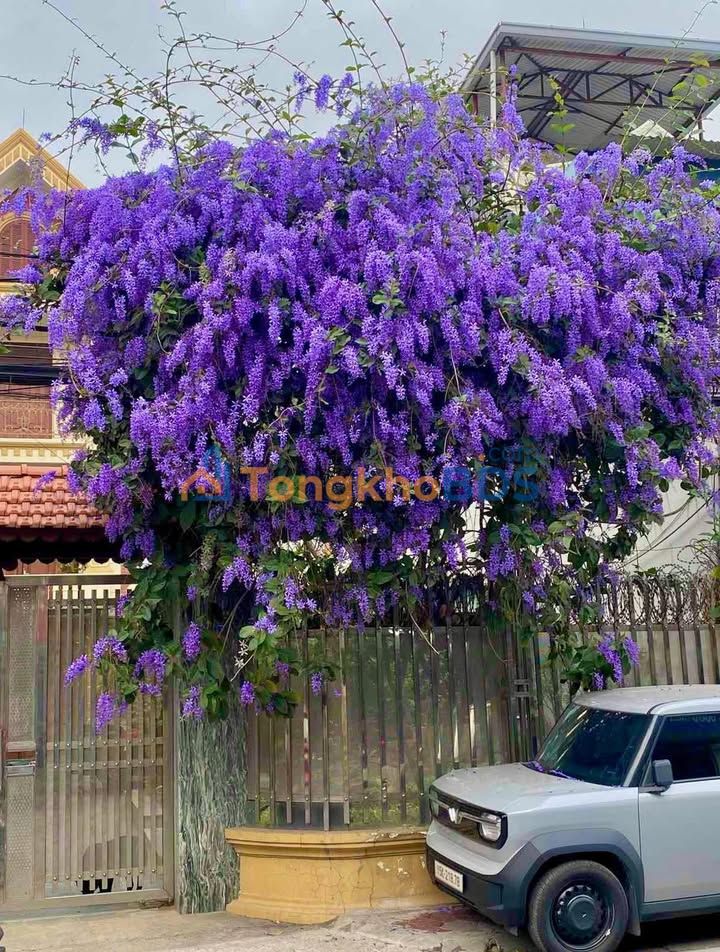 Nhà Mặt Tiền Văn Cao, Ngô Quyền, Hải Phòng - 4 Tầng, 90m² Sổ Đỏ