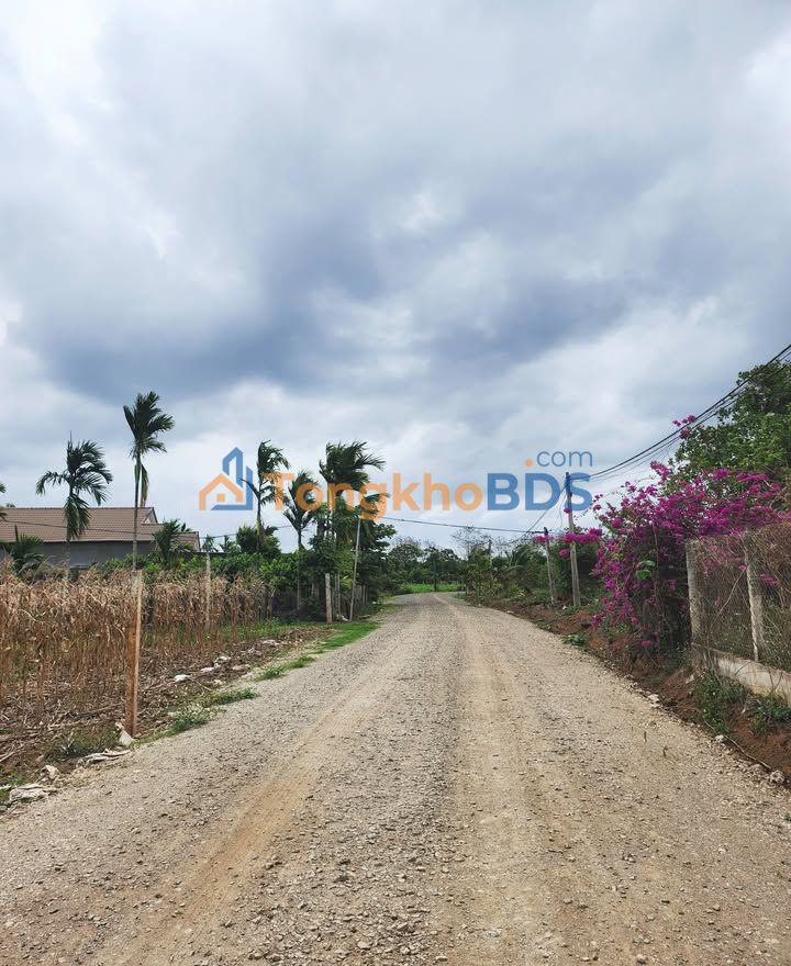 Đất nền Buôn Ma Thuột - 485m² Hẻm 1, Đường Tránh Đông - Giá Tốt