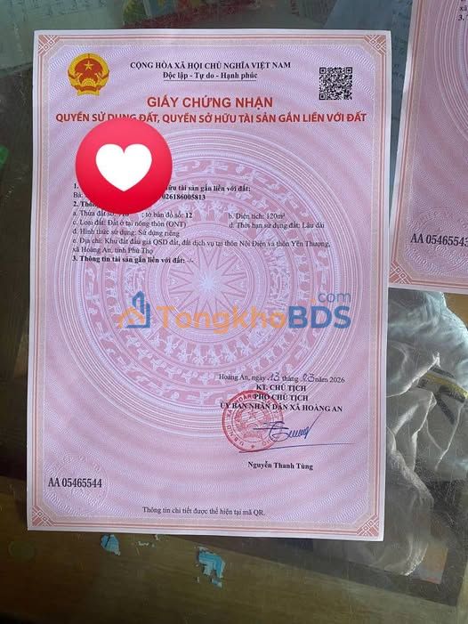 Đất đấu giá Tam Dương 120m² - Kinh doanh đắc lợi, giá 1 tỷ