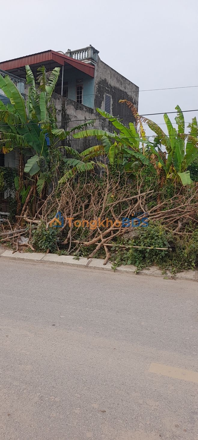 Bán Đất 200m² Mặt Sông Phong Thủy - Nam Trực, Nam Định