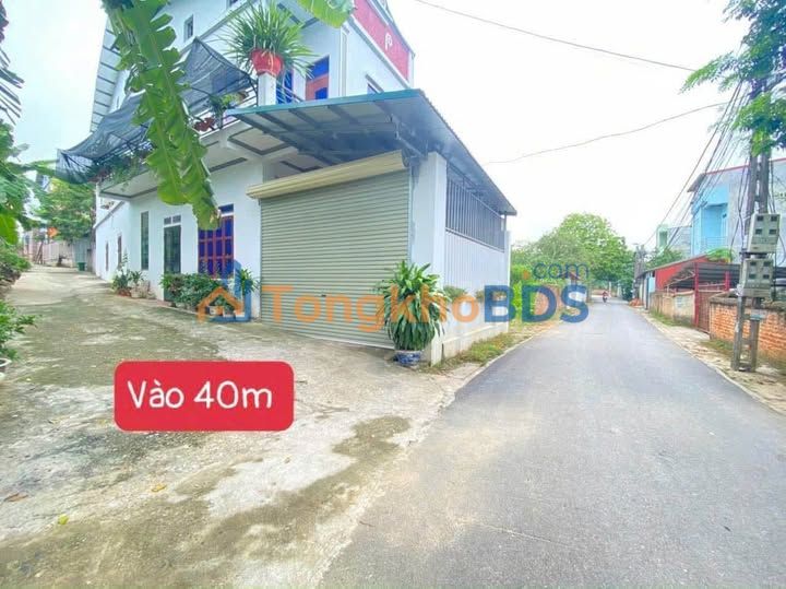 Đất Vĩnh Phúc 104m² Đường Liên Bảo - Sổ Sẵn, Oto Tận Nơi