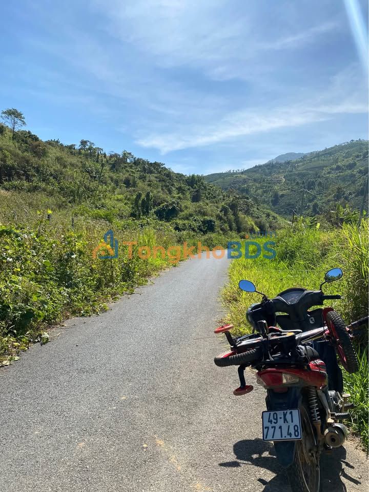 Đất Vườn 1953m² Đường Triệu Quang Phục, Bảo Lộc - Tiềm năng Homestay/Kho xưởng