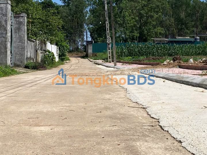 Đất nền Tam Dương, Vĩnh Phúc 99m² - Sổ đỏ sẵn, tiềm năng sinh lời cao