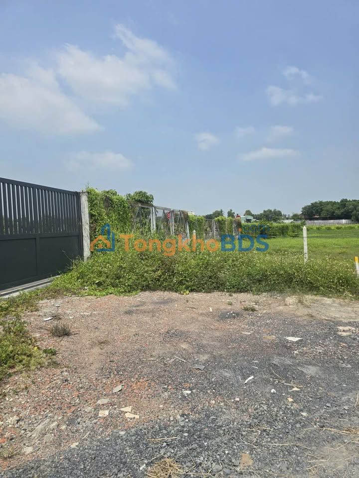 Đất Vườn Củ Chi 4600m² Sổ Đỏ, Giá 13.4 Tỷ - Lô Góc Đẹp