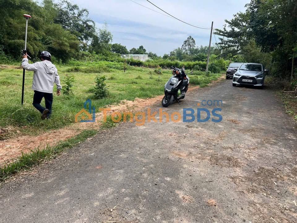 Bán Gấp Đất Vàng Xã Thái Mỹ, Củ Chi 300m² - Sổ Vuông Vức, Giá 4 Tỷ