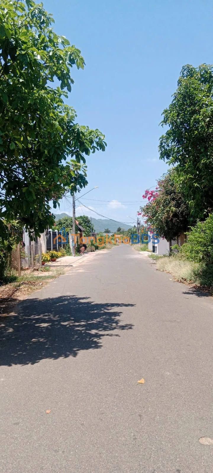 Bán Đất Nền 245m² Mặt Tiền Đường Nhựa Hương Lộ 2, Bà Rịa - Sẵn Sàng Đầu Tư