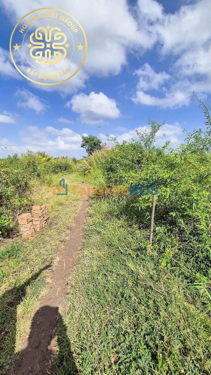 Bán Đất Vườn Cà Mau 522m² - Hướng Nam, Giá Tốt