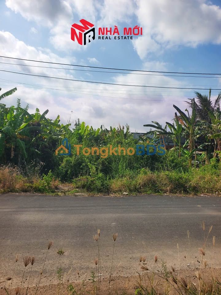 Bán Đất KĐT Hoàng Tâm, Cái Nước - 90m² Full Thổ Cư Giá 700 Triệu