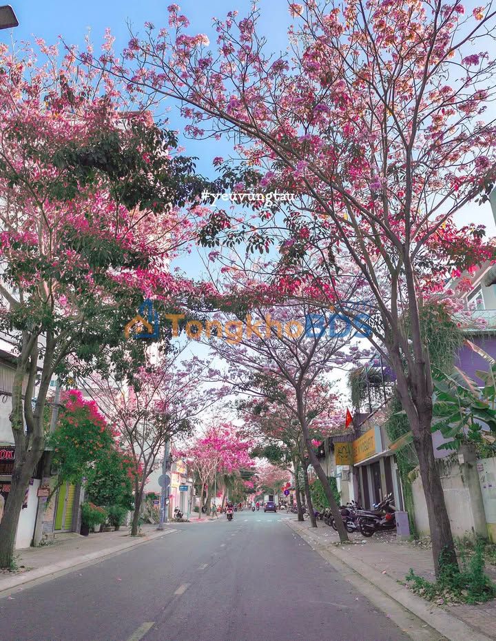 Nhà 1.89 Tỷ Đường Hồ Tri Tân, Vũng Tàu - 75m², 2PN, Sẵn Sổ Hồng