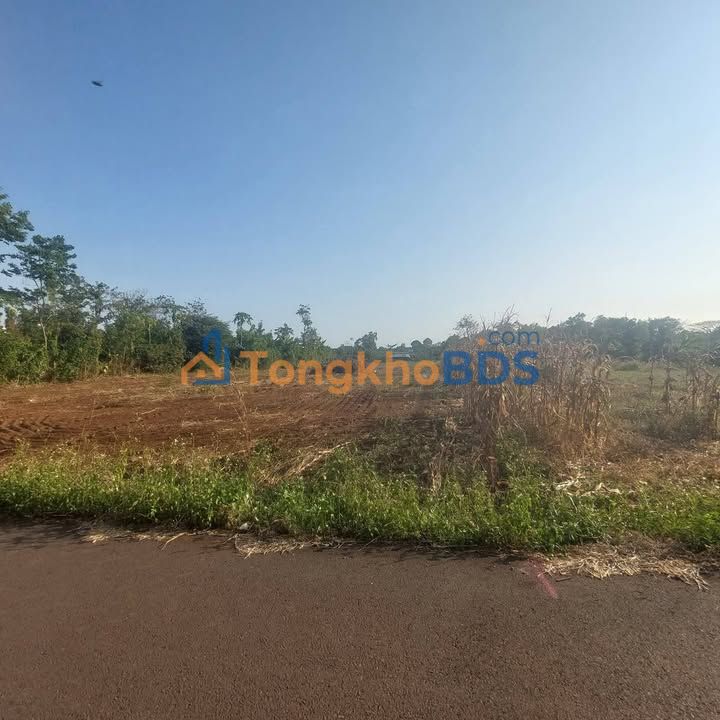 Đất nền Xà Bang Châu Đức 3.300m² 4.15 tỷ - Sổ đỏ chính chủ