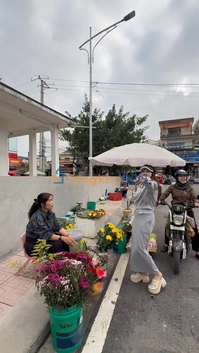 Đất nền An Lão, Hải Phòng 75m² - Ngõ 5m thông KCN, giá chỉ từ 1 tỷ