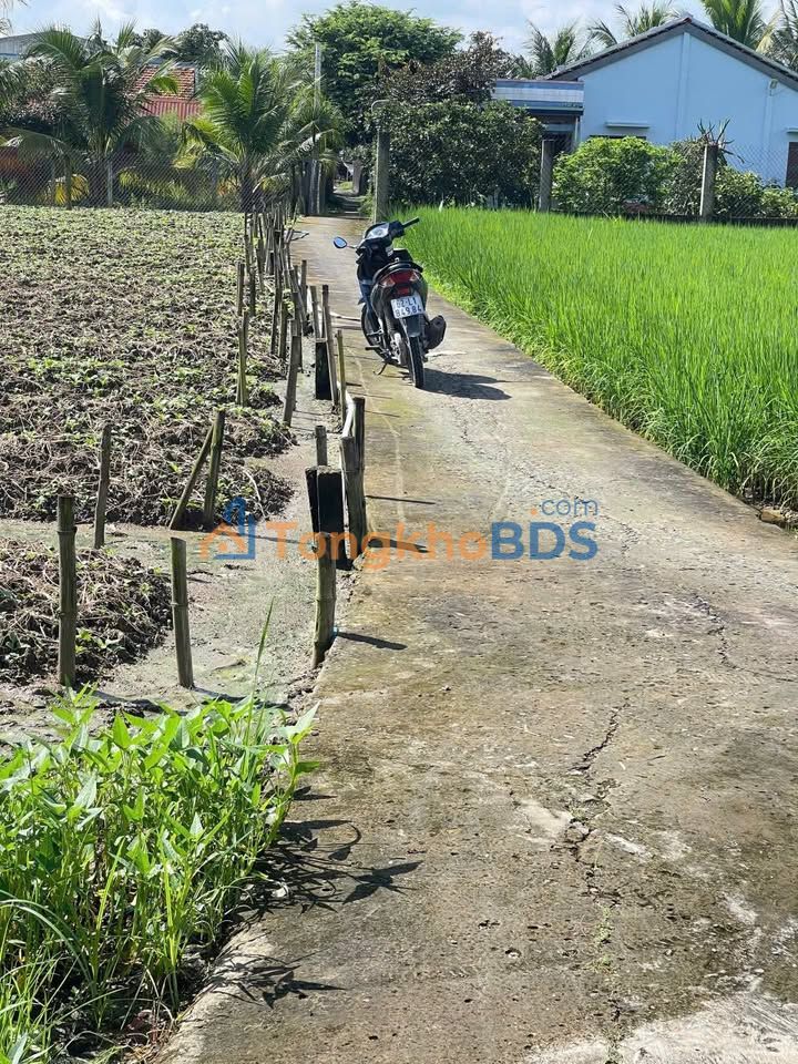 Đất Nền Cần Giuộc 82m² - Giá 550 Triệu, Đường Xe Ba Gác