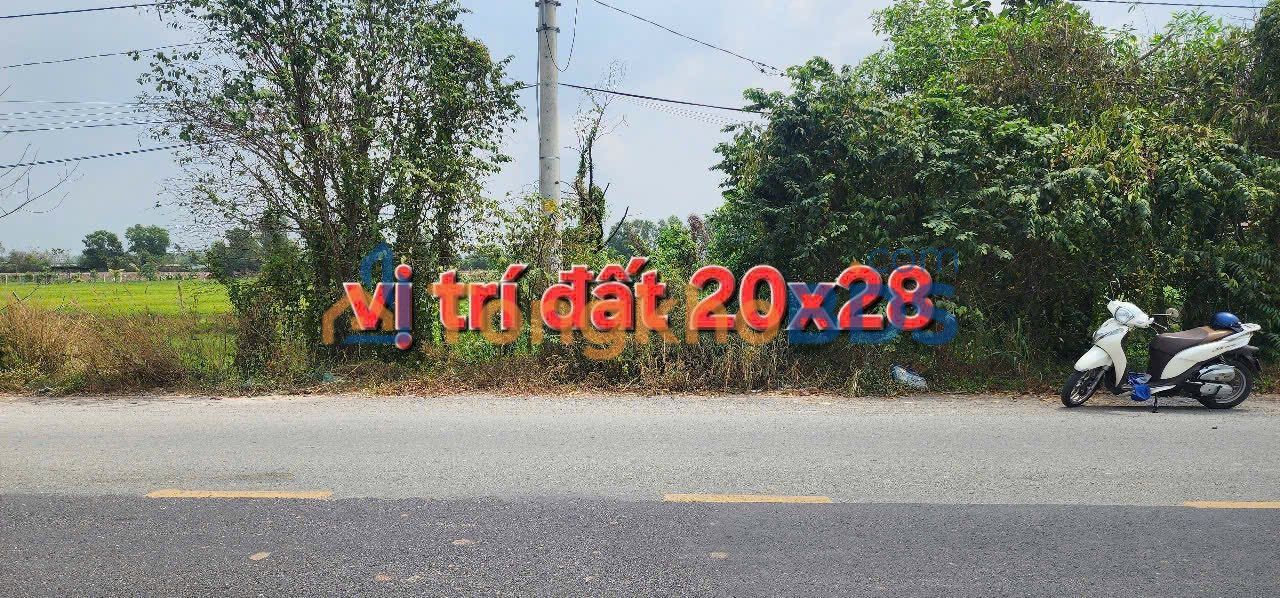 Đất nền Củ Chi Phước Hiệp 545m² 3.3 tỷ - Sổ đỏ chính chủ