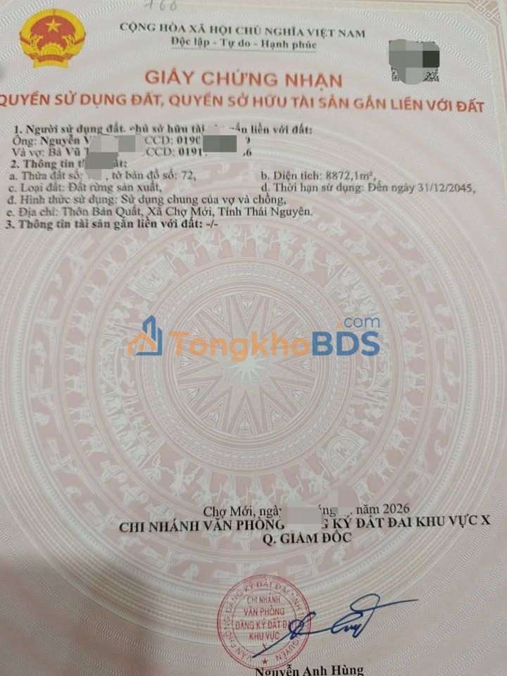 Bán đất rừng sản xuất 9000m² và đất ruộng 1900m² tại Chợ Mới, Bắc Kạn - Giá 600 triệu