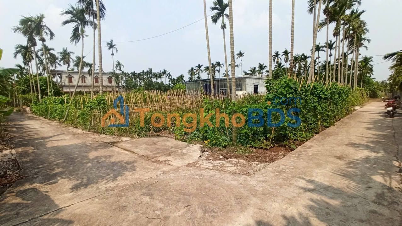 Đất Lô Góc Xã Hải Giang, Ninh Bình - 116m² Giá Tốt