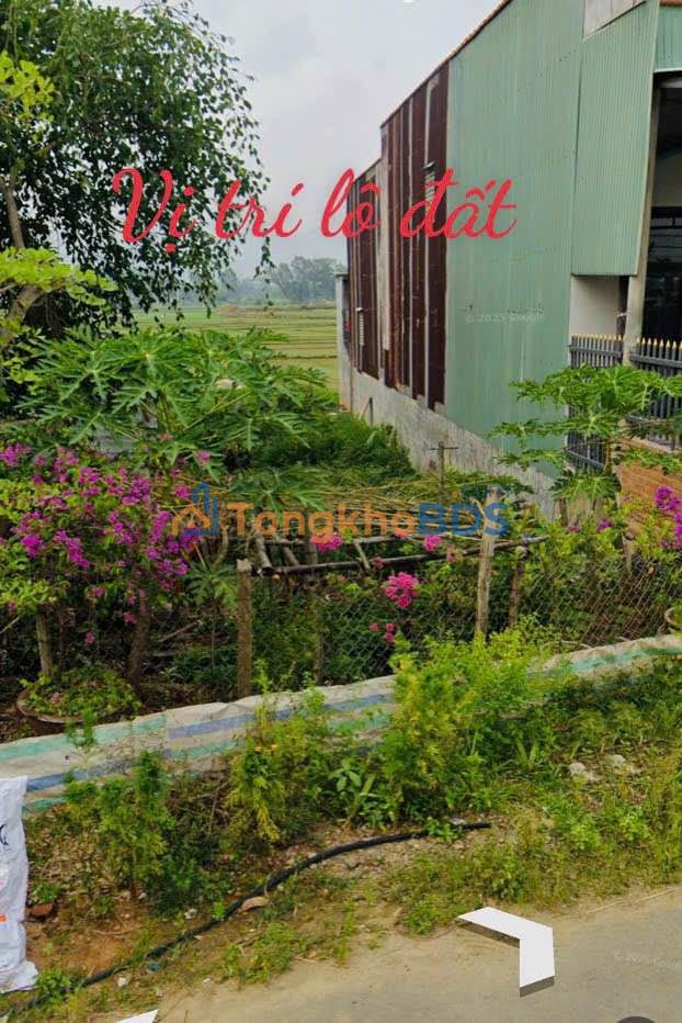 Đất Vàng Mặt Tiền Nguyễn Trung Trực, An Nhơn Nam - 137m² - 1.05 Tỷ