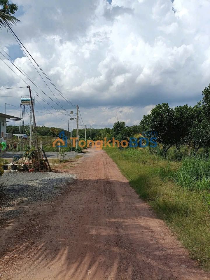 Đất nền Tân Định 158m² 900 triệu - Sổ đỏ chính chủ