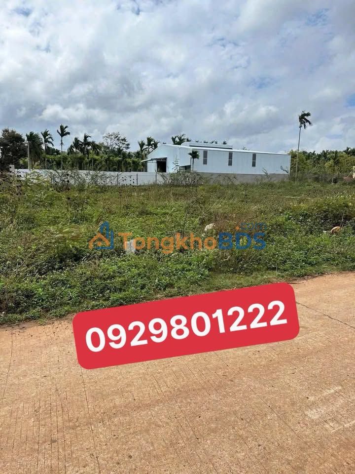 Đất nền Komleo BMT - Sổ hồng riêng 112.5m² - Giá F0 chỉ 1.1 tỷ