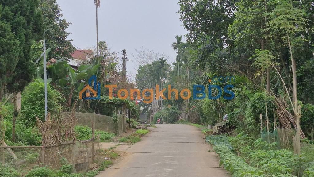 Đất Vàng Phường Nam Cường, Lào Cai 257m² - Sổ Đỏ, Giá Tốt