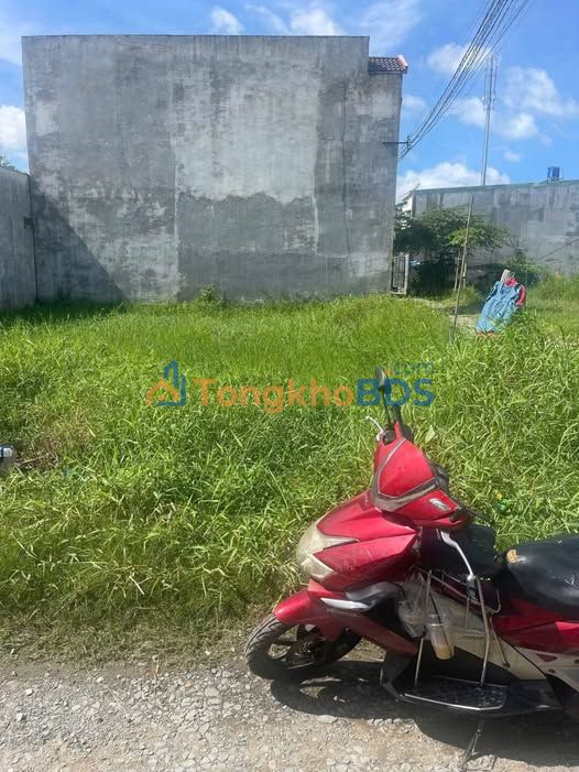 Bán Đất Mỹ Hạnh Nam Đức Hòa 76m² Sổ Hồng Sẵn Sàng