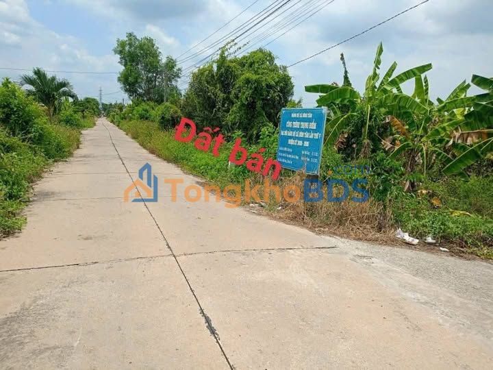 Đất Vườn 1000m² Mặt Tiền Đường Nhà Vuông, Tân An, Long An - Giá Đầu Tư 4.2 Tỷ