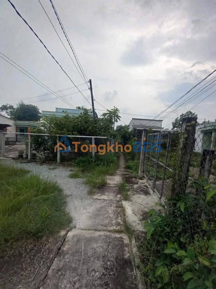 Bán Đất Vườn 506m² Xã Tân Lân, Cần Đước - Sổ Hồng Sẵn Sàng