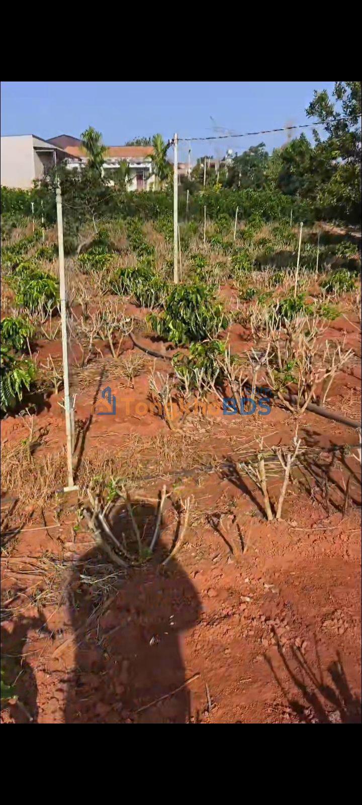 Đất Đức Trọng Lâm Đồng 4100m² 4.1 tỷ - Sổ đỏ chính chủ