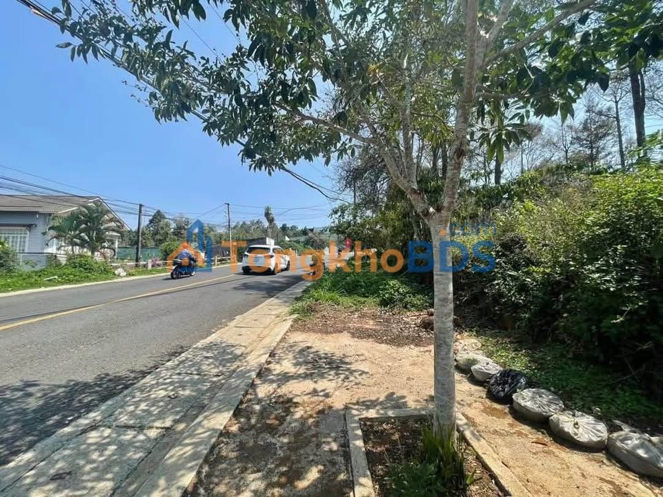 Nhà Mặt Tiền Đà Lạt 125m² - View Đẹp, Kinh Doanh Tốt - Bán Gấp 2.5 Tỷ