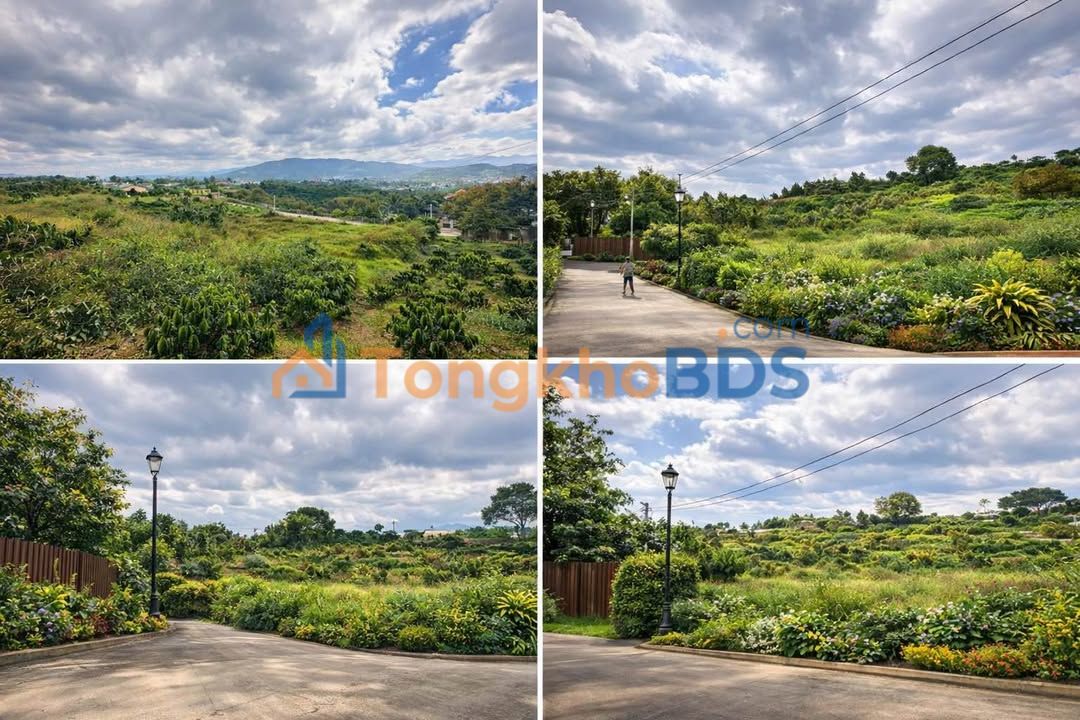 Đất Nền Bảo Lộc 1000m² Giá 2.15 Tỷ - View Thoáng Đẹp, Full Thổ Cư