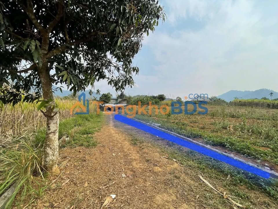 Bán Đất Hợp Phong, Cao Phong 1255.8m² - Sổ Đỏ Vuông Vắn, Giá 9xx Triệu