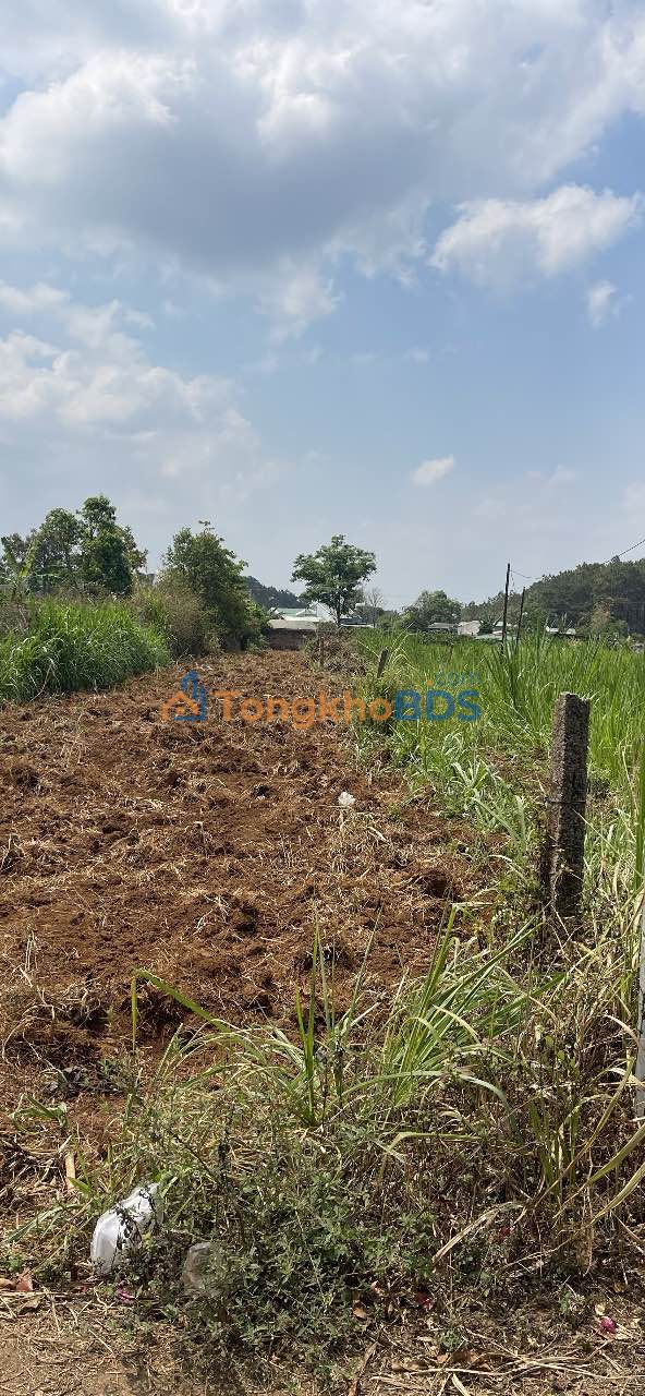 Đất nền Hẻm 99 Hoa Lư, Pleiku 510m² - Sổ sẵn, giá 999 triệu