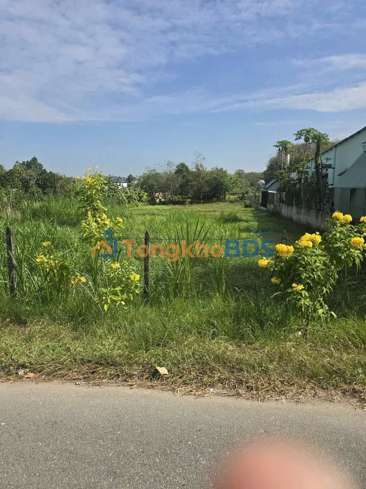 Đất Vàng Củ Chi 2472m² Mặt Tiền Tỉnh Lộ 7 - Giá 6.5 Tỷ